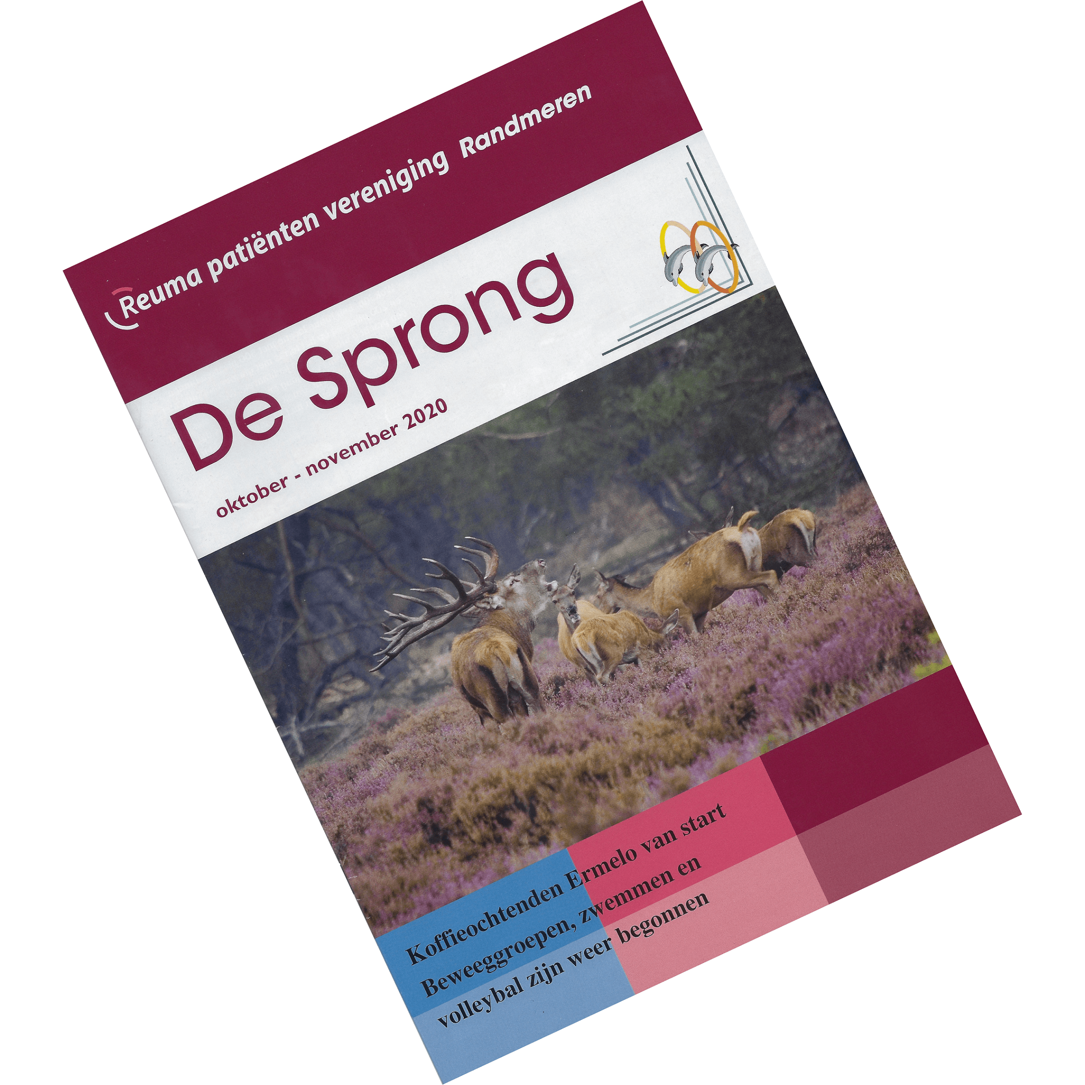 cover van De Sprong, het magazine van reuma patiënten vereniging Randmeren van oktober en november 2020 met artikel over de rolstoelsticker voor op je auto