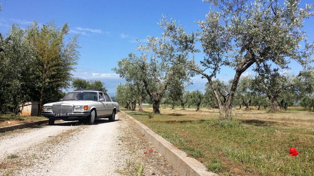 Mercedes-Benz W116 280SE in de kleur wit tussen de olijfbomen in Toscane
