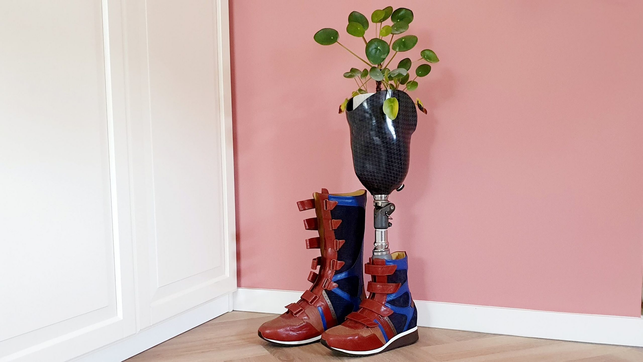 afbeelding van orthopedische schoen en een beenprothese met in de prothese een pannenkoekenplant omdat zonder prothese dat kunstbeen als plantenbak dient