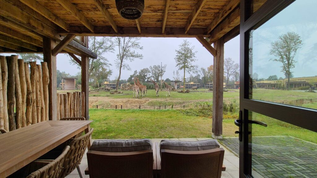 Het uitzicht vanuit de rolstoeltoegankelijke kamer in safari resort beekse bergen bestaat uit een weide met giraffen, neushoorns, antilopen, struisvogels, zebra's en wilde koeien.