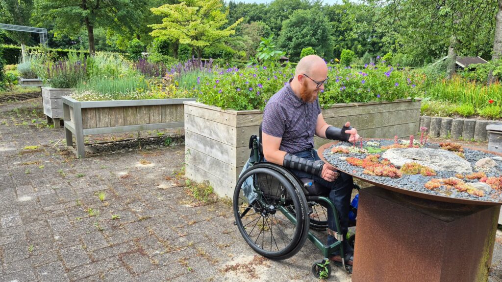 Ralph Stoové bezoekt de toegankelijke voorbeeldtuin in Frederiksoord, genaamd de Van Swietentuin. Op deze foto laat Ralph zien dat je met onderrijdbare plantenbakken ook vanuit je roltoel kan tuinieren. Op de achtergrond zie je hoge plantenbakken van hout en op de voorgrond zit Ralph bij een onderrijdbare bak van cortenstaal.